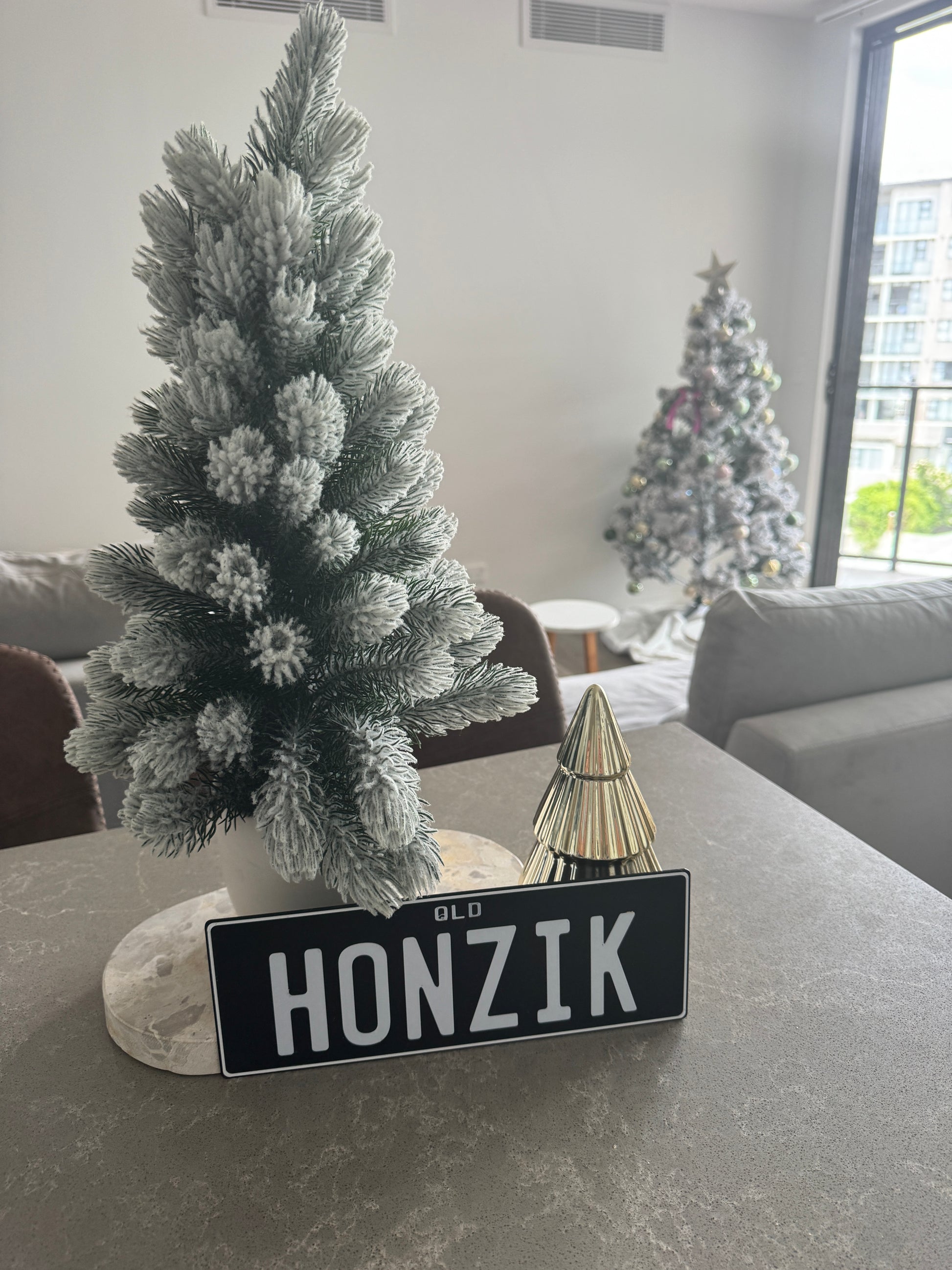 rego plate custom QLD PPQ