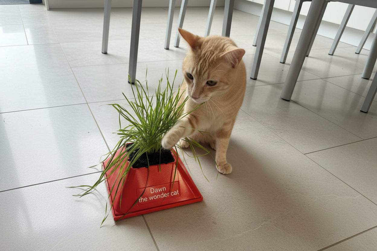 Cat interacting with a small potted plant on a tiled floor in a holder
